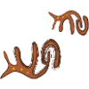 cave painting