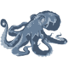 Octopus stormy blue