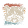 racoon