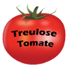 Tomate déshonorée
