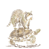 Raccoon and turtle