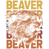 beaver
