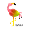 Flamango