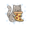 Cat pizza gift