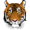 T-shirt Tigre