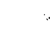 Eisbär