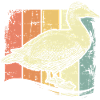 Farm with ducks