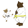 taekwondo
