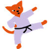 taekwondo cat