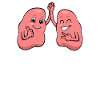 Respiration respiratoire de l'anatomie pulmonaire