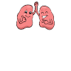 Respiration respiratoire de l'anatomie pulmonaire