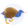 kiwi