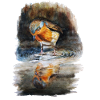 Rotkehlchen