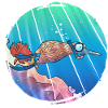 Kiwi divers