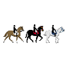 dressage