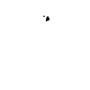 Best dog