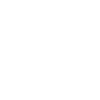 Triathlete