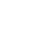 DIGITAL NATIVE