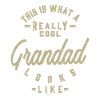 Really Cool Grandad