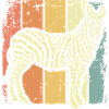 Africa Zebra