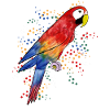 Parrot Macaw - Parrot Macaw
