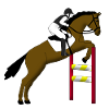 show jumping horse