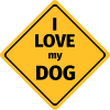 i love my dog