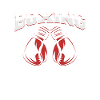 Boxing Gloves