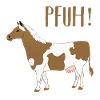 Halb Pferd Halb Kuh