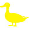 Duck duck