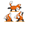 Yoga Fox Namaste