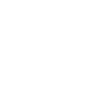 Bonus Dad definition