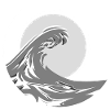 wave
