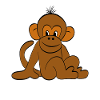 Cute monkey