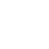Labrador Retrievers