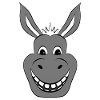 Donkey Donkey