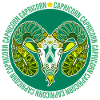 Sternzeichen Steinbock