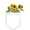 Sunflower in bag