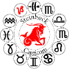 Capricorne Zodiac
