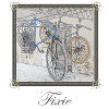 Fixie bikes