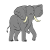 Elephant - Elephant