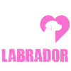 Labrador-Liebe