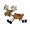 Moose runs