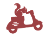 Squirrel moped