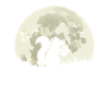 Squirrel moon bat