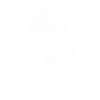 Skull white