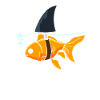 Guldfisk haj - guldfisk med hajfin