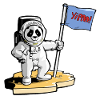 Panda Cosmonaut