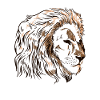 Lion, tête lion, prédateurs
