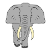 éléphant